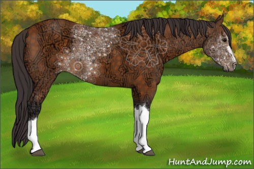Horse Color:Buckskin Ice 