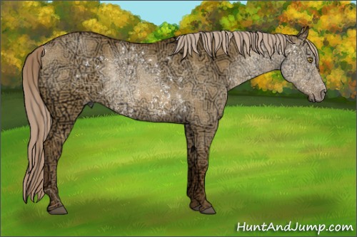 Horse Color:Chocolate Palomino Ice Dun Rabicano 