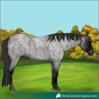 Horse Color:Midnight Brown Ice Roan Onyx 