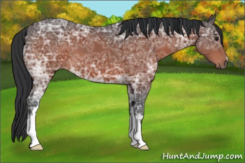 Horse Color:Brown Ice 
