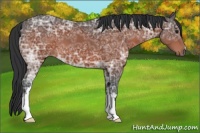 Horse Color:Brown Ice 