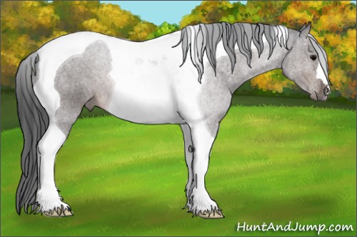 Horse Color:Brown Tobiano 