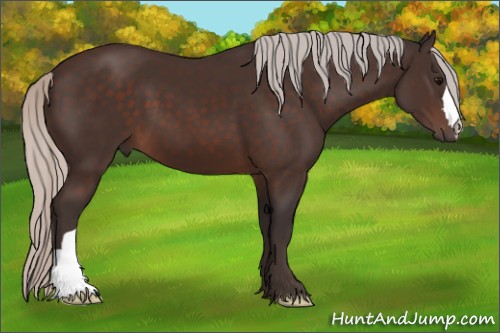 Horse Color:Silver Brown 