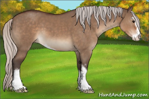 Horse Color:Silver Brown Dun Sabino 