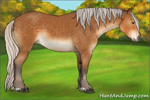 Horse Color:Silver Buckskin 