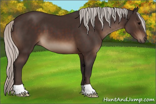 Horse Color:Silver Brown 