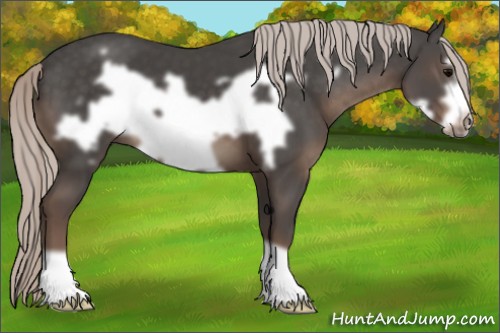 Horse Color:Silver Black Frame 
