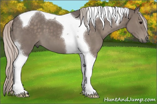 Horse Color:Silver Black Tobiano 