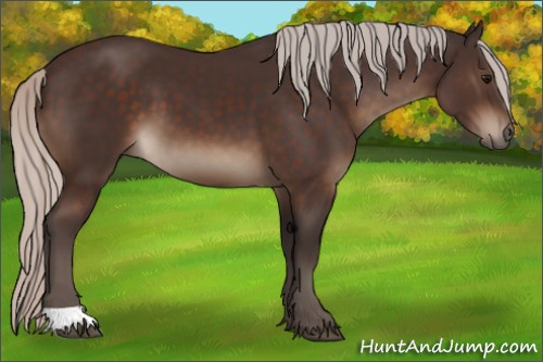 Horse Color:Silver Brown 