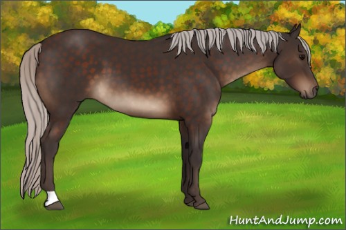 Horse Color:Silver Brown 