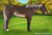 Horse Color:Silver Brown 