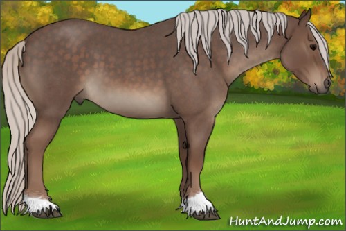 Horse Color:Silver Blue Roan 