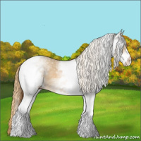 Horse Color:White Spotted Red Dun Rabicano  and White Spotted Gold Champagne Dun Rabicano 