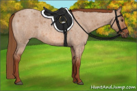 Horse Color:Red Dun Roan 