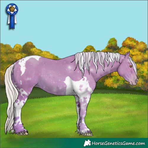 Horse Color:Watercolor Silver Classic Champagne Tobiano