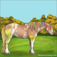 Horse Color:Painted White Spotted Gold Champagne