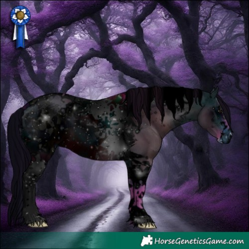 Horse Color:ERROR: UNKNOWN ANOMALY