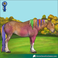 Horse Color:Painted White Spotted Chocolate Palomino 