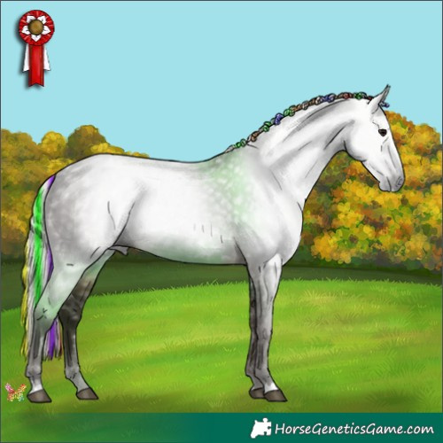 Horse Color:Gray Painted Silver Black Rabicano 