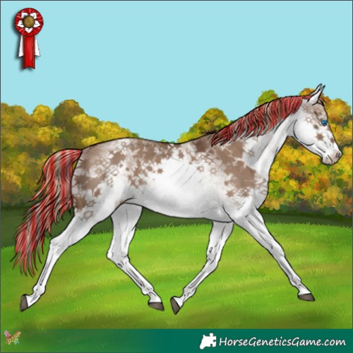 Horse Color:Painted White Spotted Liver Red Dun Splash Rabicano 
