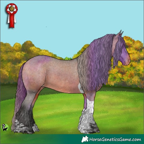 Horse Color:Bay Tobiano Appaloosa 