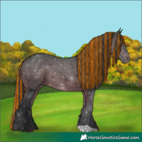 Horse Color:Painted Bay