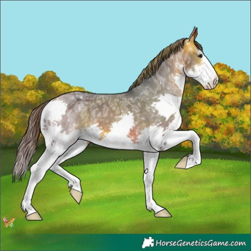 Horse Color:White Spotted Brown Ice Splash Varnish