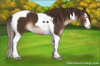 Horse Color:Liver Chestnut Splash Tobiano 