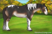 Horse Color:White Spotted Liver Chestnut Splash Tobiano 