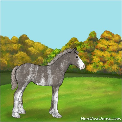 Horse Color:White Spotted Silver Black Sabino 