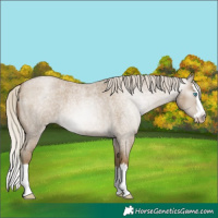 Horse Color:Gray Silver Smoky Blue Roan Pearl Splash 