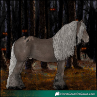 Horse Color:Void Silver Black Varnish 