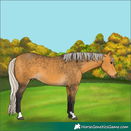 Horse Color:Silver Buckskin
