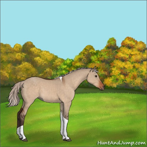 Horse Color:Silver Brown Dun Tobiano Rabicano 