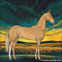 Horse Color:Palomino 