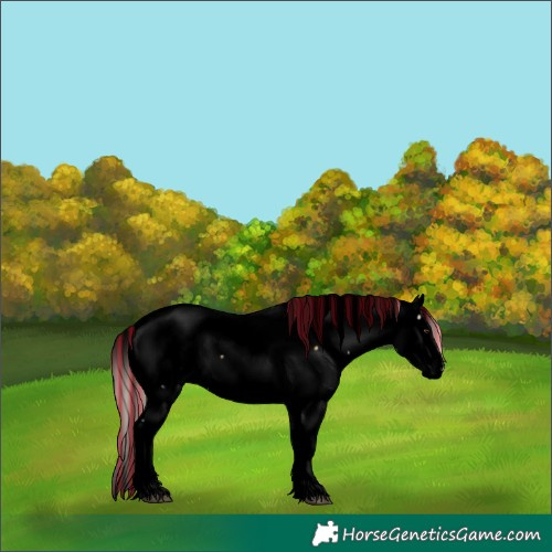 Horse Color:Void Painted Palomino Onyx Fewspot