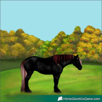 Horse Color:Void Painted Palomino Onyx Fewspot 