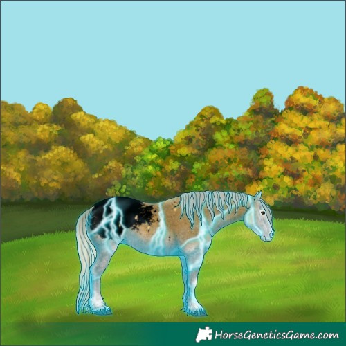 Horse Color:Void Thunderstruck Palomino Onyx Snowcap 