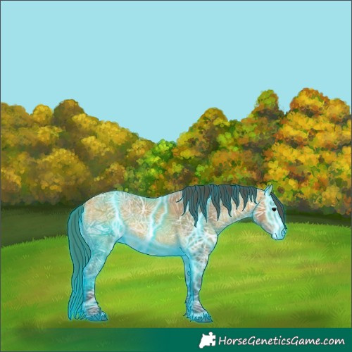 Horse Color:Thunderstruck Buckskin Ice