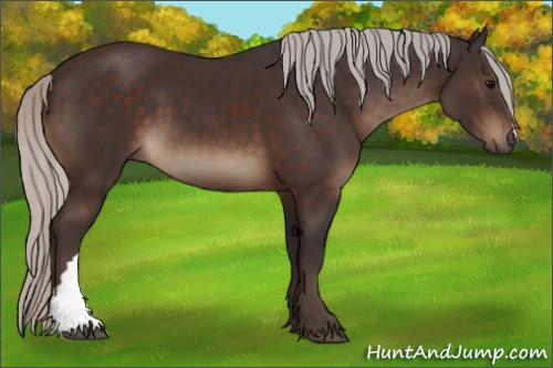 Horse Color:Silver Brown 