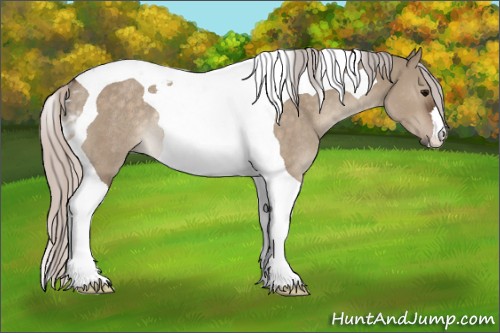 Horse Color:Silver Brown Dun Tobiano Rabicano 