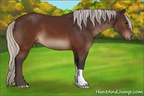 Horse Color:Silver Brown 