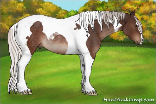 Horse Color:Silver Brown Tobiano Rabicano 