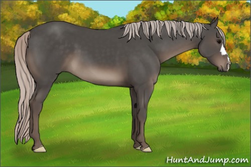 Horse Color:Silver Black 