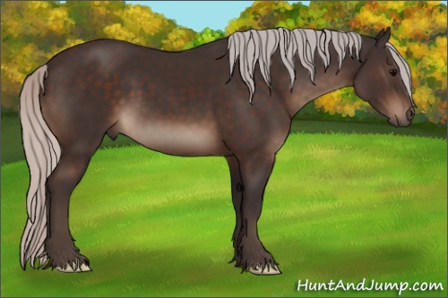 Horse Color:Silver Brown 