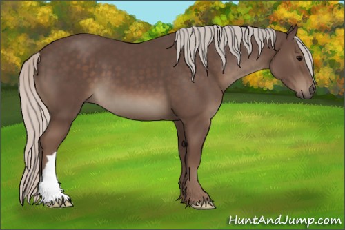 Horse Color:Silver Black 