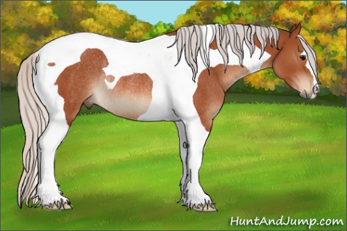 Horse Color:Silver Bay Tobiano Rabicano 