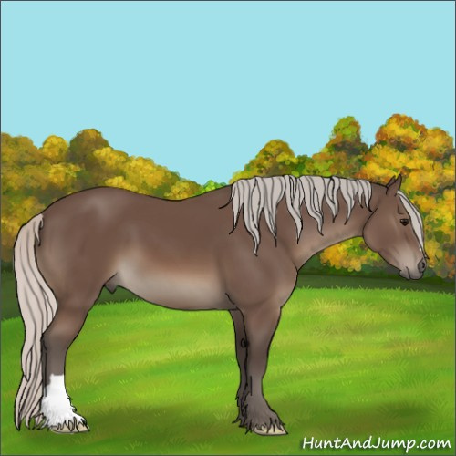Horse Color:Silver Black 