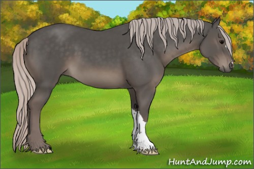 Horse Color:Silver Black 