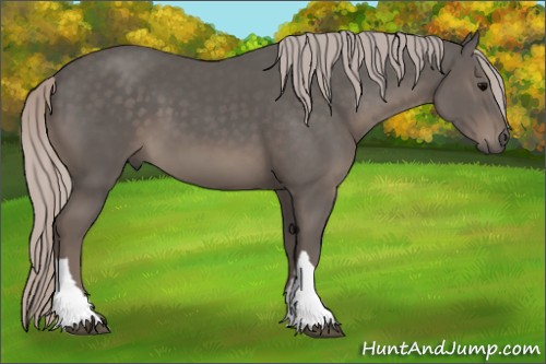 Horse Color:Silver Black 